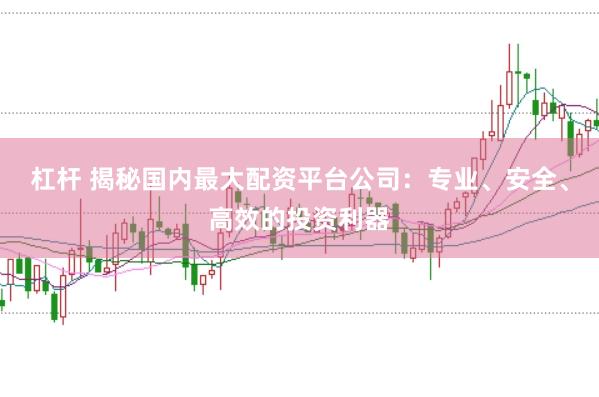 杠杆 揭秘国内最大配资平台公司：专业、安全、高效的投资利器