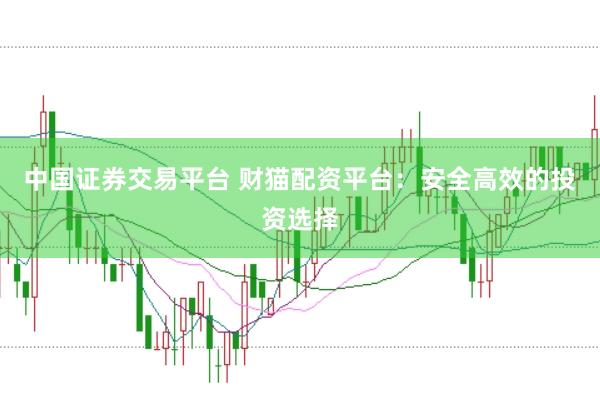中国证券交易平台 财猫配资平台：安全高效的投资选择