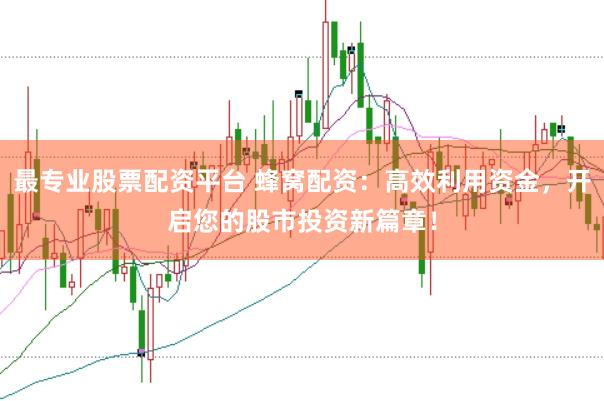 最专业股票配资平台 蜂窝配资：高效利用资金，开启您的股市投资新篇章！