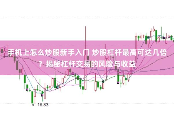 手机上怎么炒股新手入门 炒股杠杆最高可达几倍？揭秘杠杆交易的风险与收益