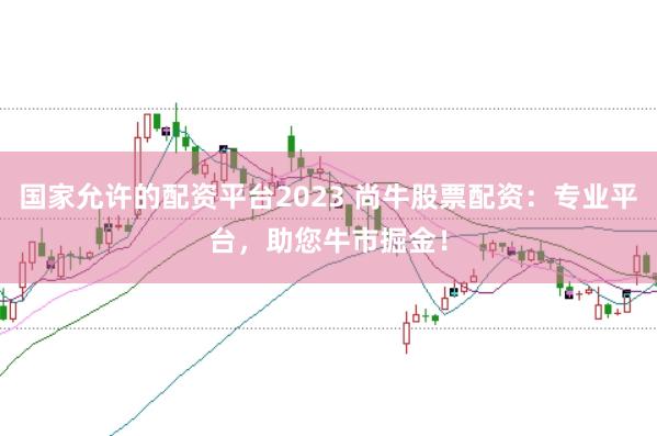 国家允许的配资平台2023 尚牛股票配资：专业平台，助您牛市掘金！
