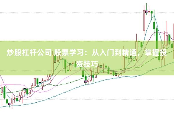 炒股杠杆公司 股票学习：从入门到精通，掌握投资技巧