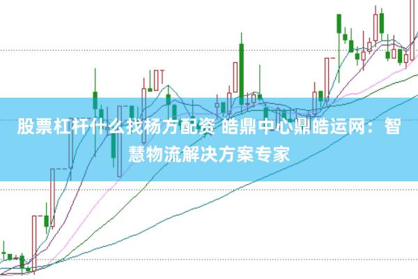 股票杠杆什么找杨方配资 皓鼎中心鼎皓运网：智慧物流解决方案专家