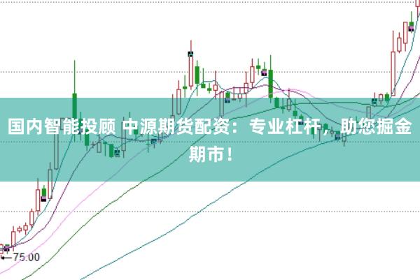 国内智能投顾 中源期货配资：专业杠杆，助您掘金期市！
