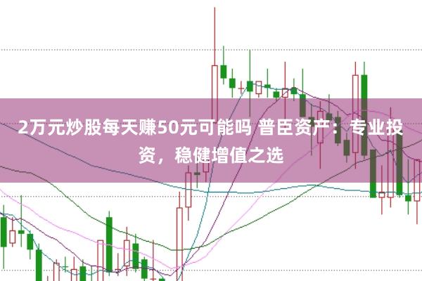2万元炒股每天赚50元可能吗 普臣资产：专业投资，稳健增值之选