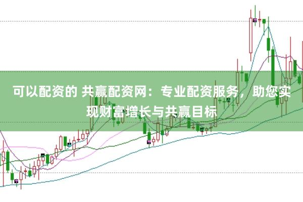 可以配资的 共赢配资网：专业配资服务，助您实现财富增长与共赢目标