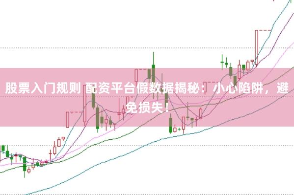 股票入门规则 配资平台假数据揭秘：小心陷阱，避免损失！