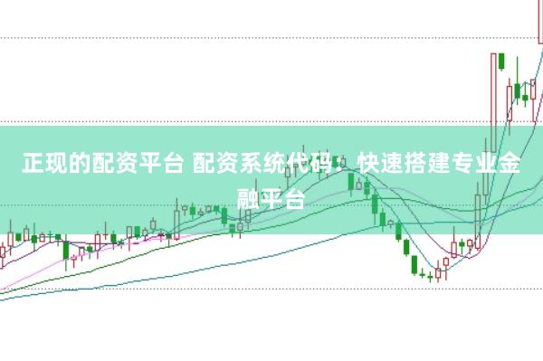 正现的配资平台 配资系统代码：快速搭建专业金融平台