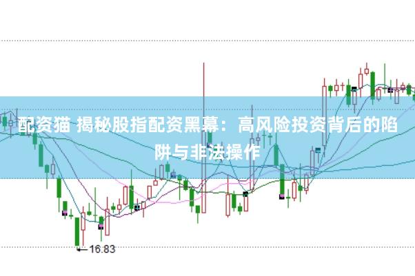 配资猫 揭秘股指配资黑幕：高风险投资背后的陷阱与非法操作