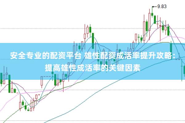 安全专业的配资平台 雄性配资成活率提升攻略：提高雄性成活率的关键因素