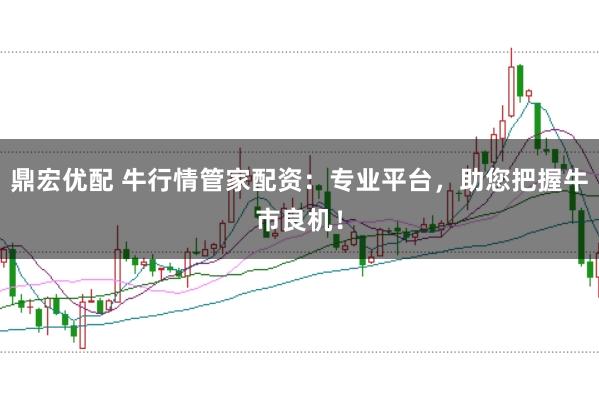 鼎宏优配 牛行情管家配资：专业平台，助您把握牛市良机！
