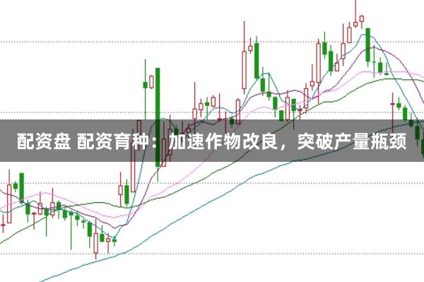 配资盘 配资育种：加速作物改良，突破产量瓶颈