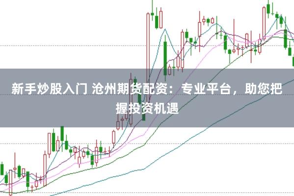 新手炒股入门 沧州期货配资：专业平台，助您把握投资机遇