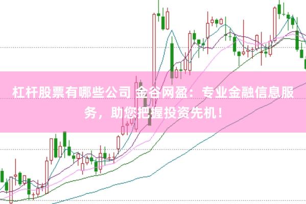 杠杆股票有哪些公司 金谷网盈:专业金融信息服务,助您把握投资先机!
