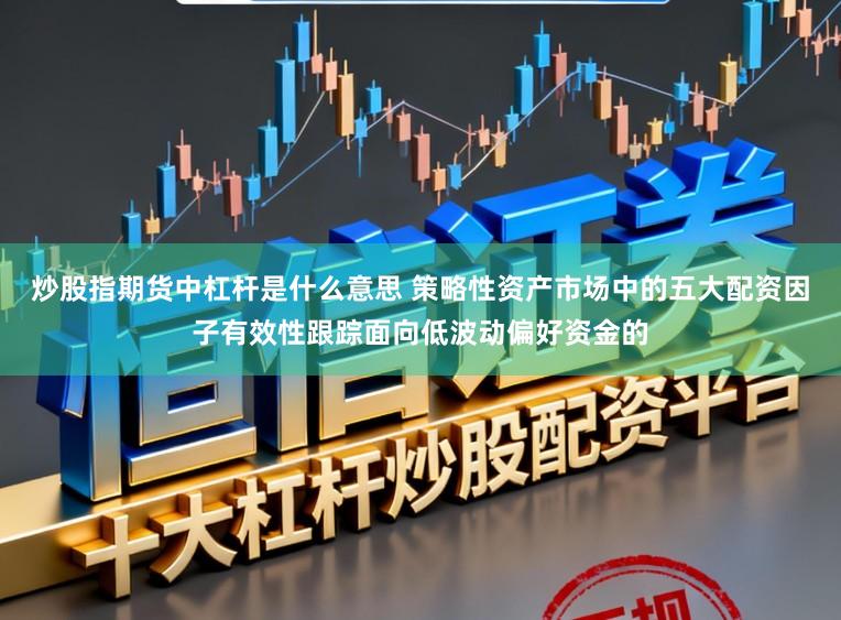 炒股指期货中杠杆是什么意思 策略性资产市场中的五大配资因子有效性跟踪面向低波动偏好资金的