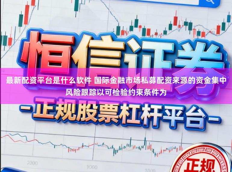 最新配资平台是什么软件 国际金融市场私募配资来源的资金集中风险跟踪以可检验约束条件为