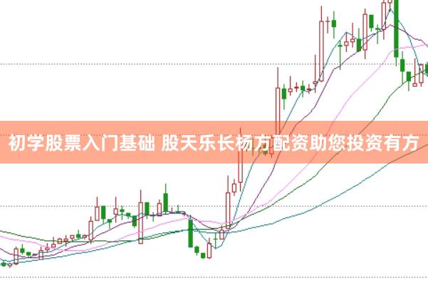 初学股票入门基础 股天乐长杨方配资助您投资有方